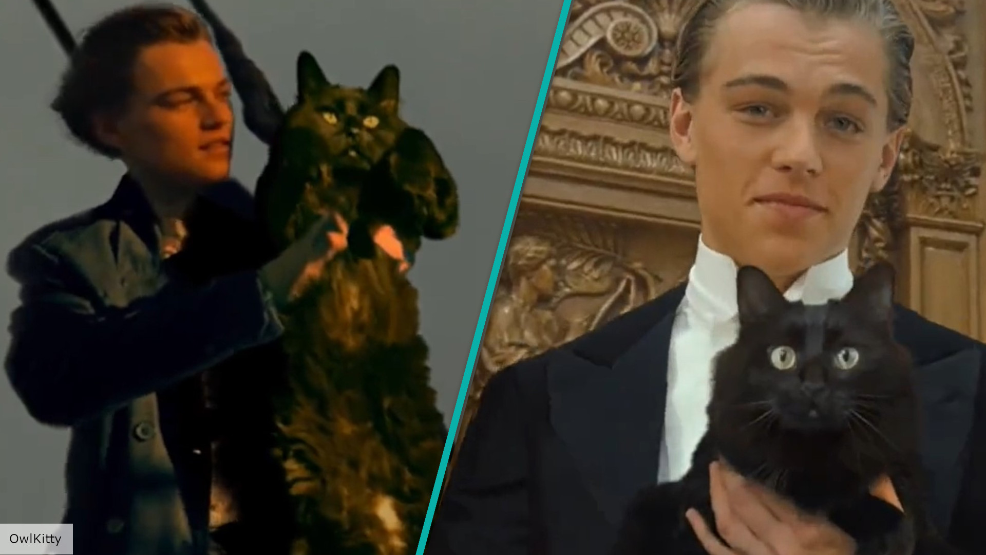 Leonardo Dicaprio Falls In Love With Cat In Adorable Fan Made Titanic Trailer 