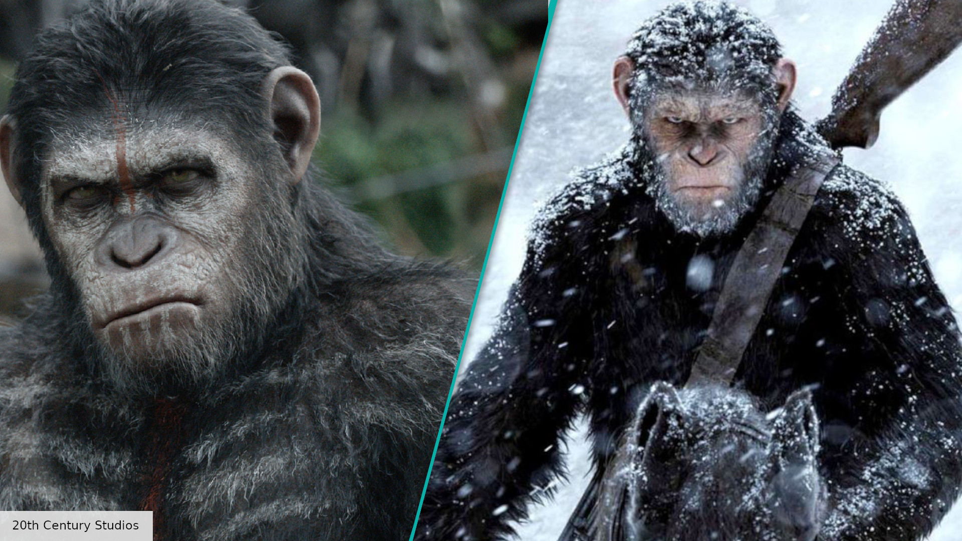 of the Apes franchise is getting a new movie