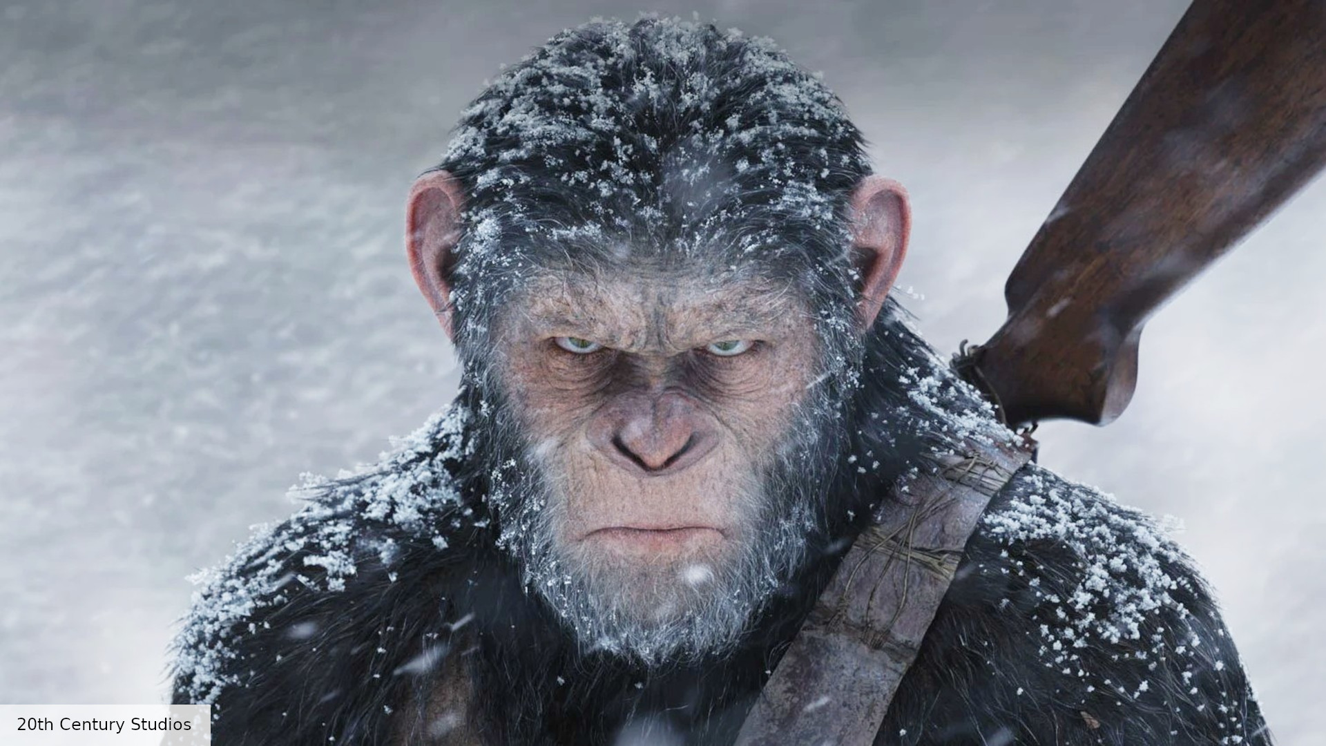 New of the Apes movie gets title, director, and cast