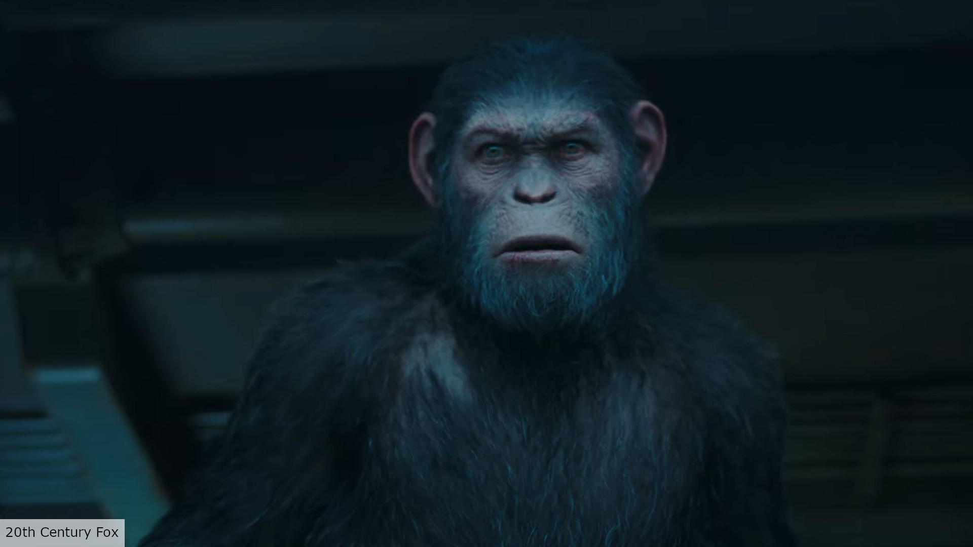 Of The Apes Release Date 2024 Willi Corinne