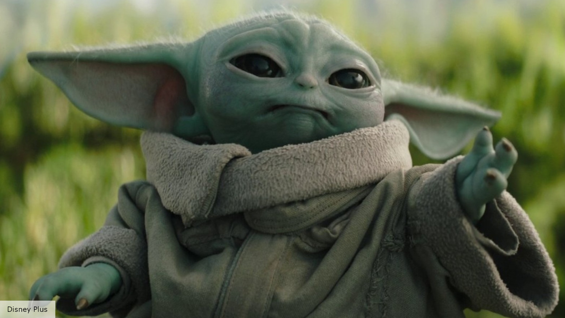 What is Baby Yoda?