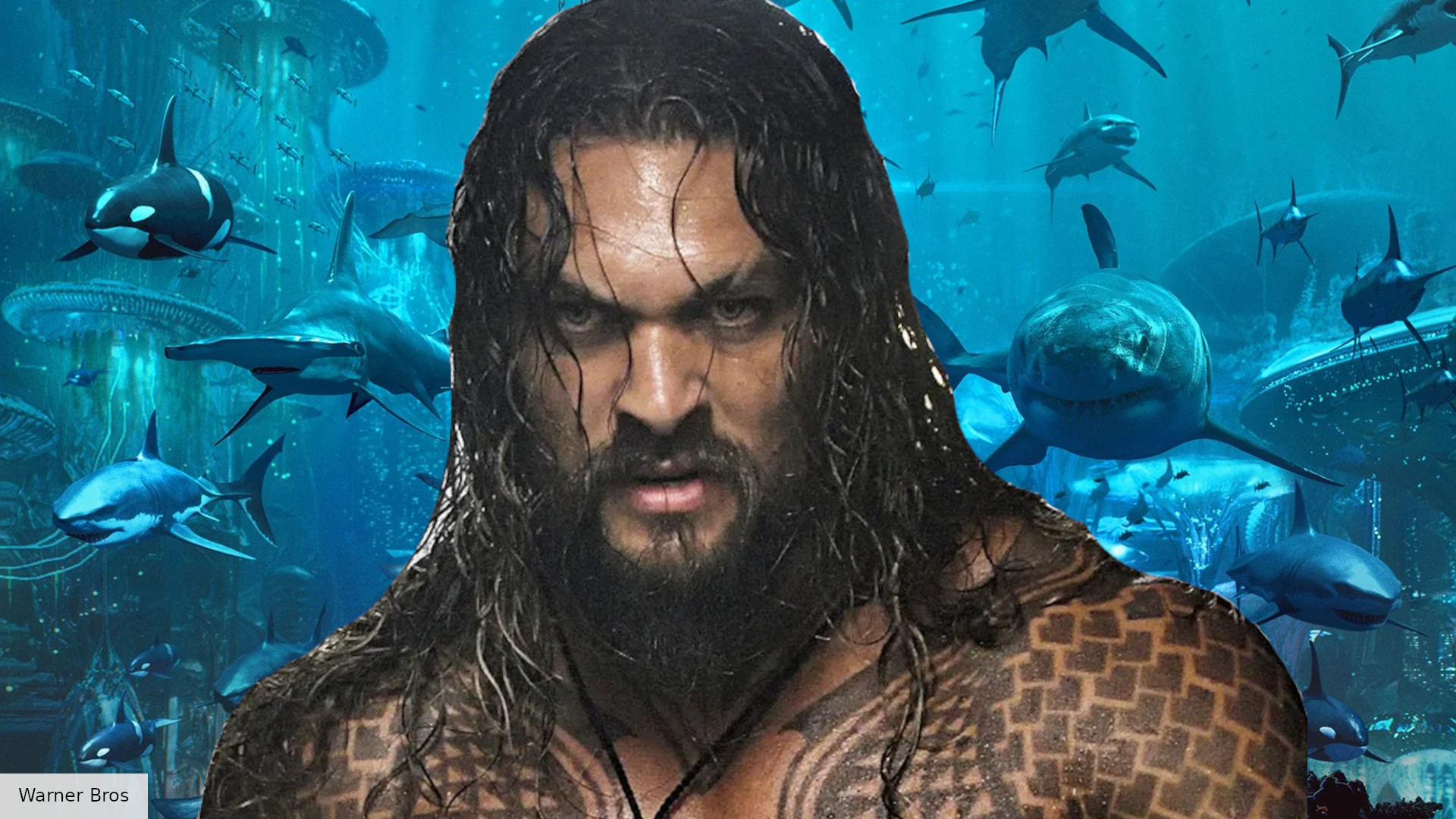 Aquaman 2 Release Date Cast Plot Trailers And More News