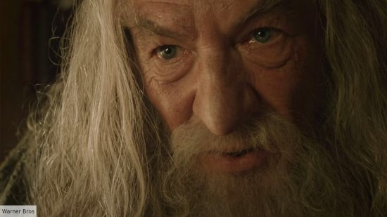 Ian McKellen as Gandalf in Lord of the Rings