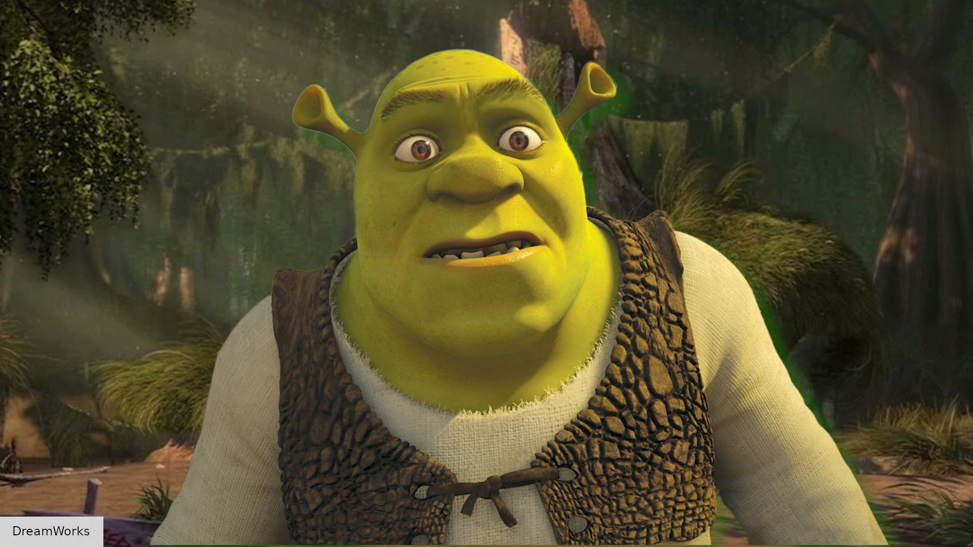 Shrek 5 Cast Plot Release Date And Everything You Nee vrogue.co