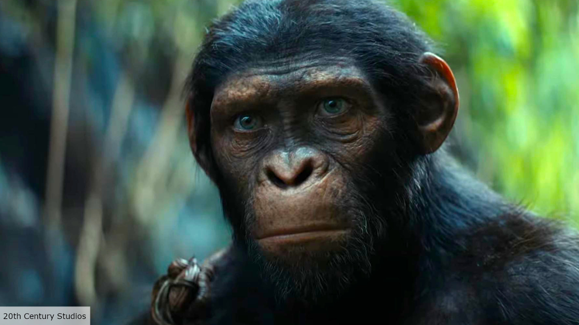Kingdom of the of the Apes release date, cast, plot, and more