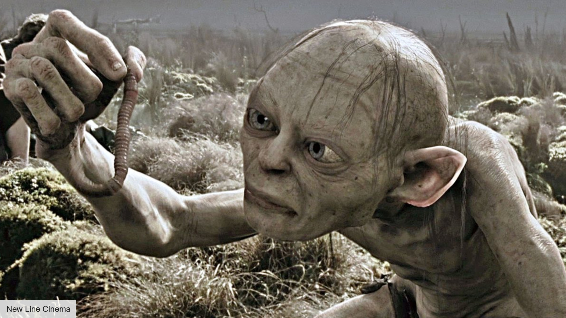 Lord of the Rings Characters Ranked: Who is the Most Popular LOTR Character?  - MySmartPrice